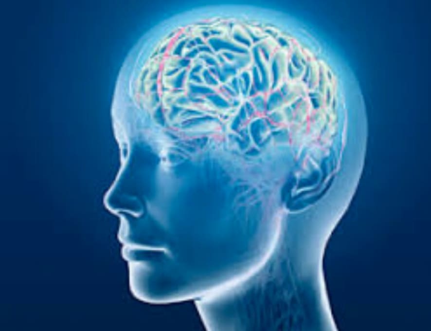 4 Pillars of Brain Health