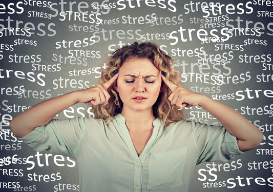 Best Supplements for Relaxation and Mood Support