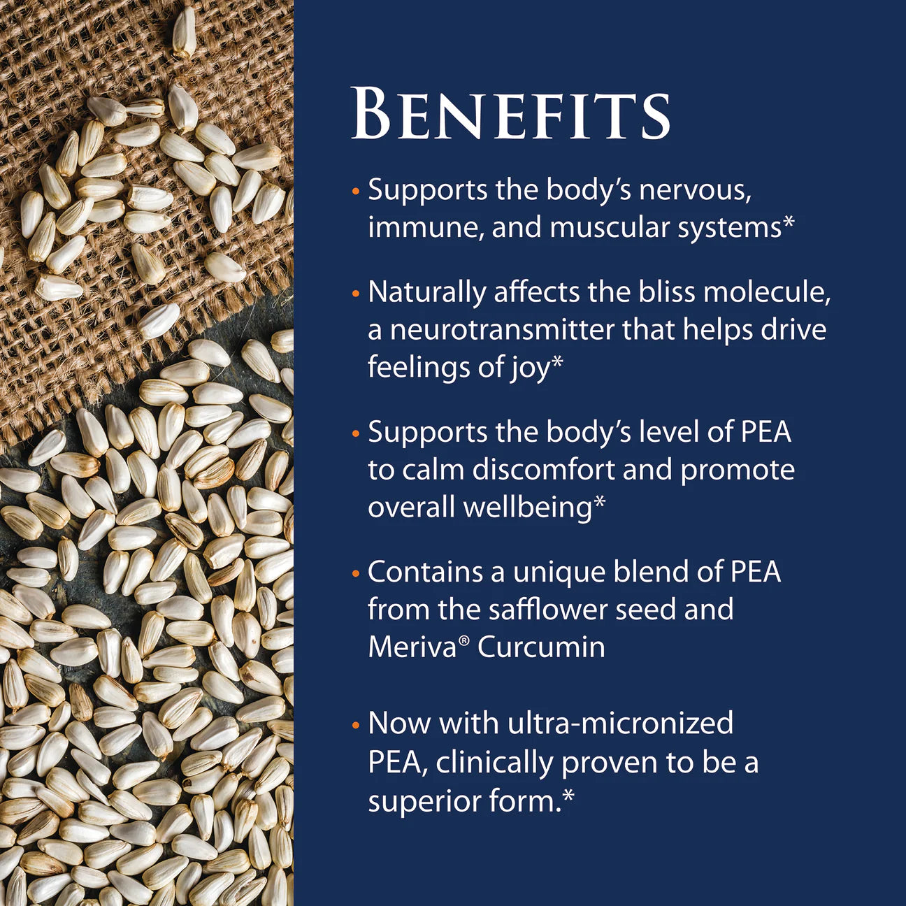 Enzyme Science (PEA)+ with Meriva Curcumin Capsules