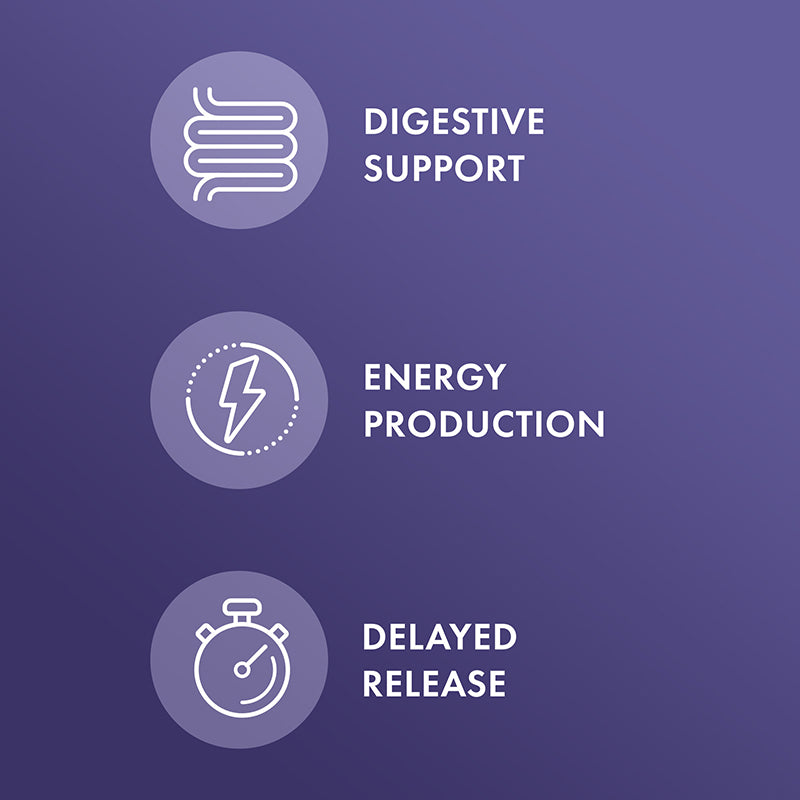 Dr. Mercola Gallbladder Enzymes 3