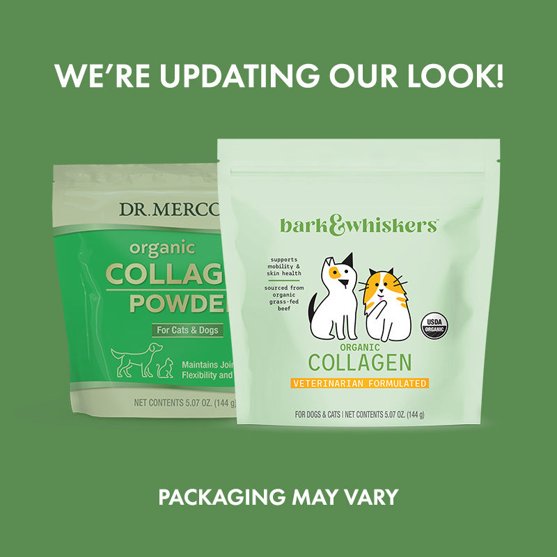 Dr. Mercola Organic Collagen Powder for Cats and Dogs 3
