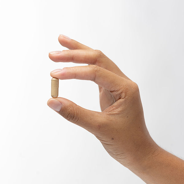 Dr. Mercola Fermented Mushroom Complex Capsules 4