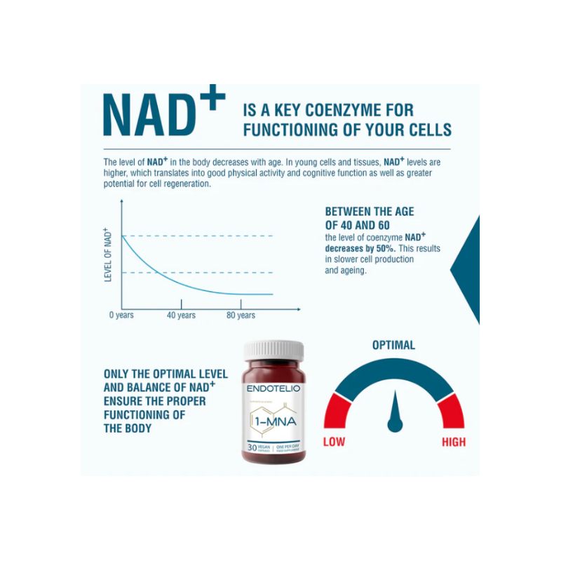 Endotelio 1-MNA Capsules
