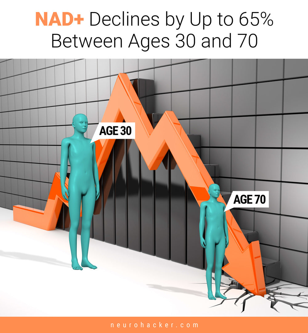 Qualia NAD + Optimized Aging 4