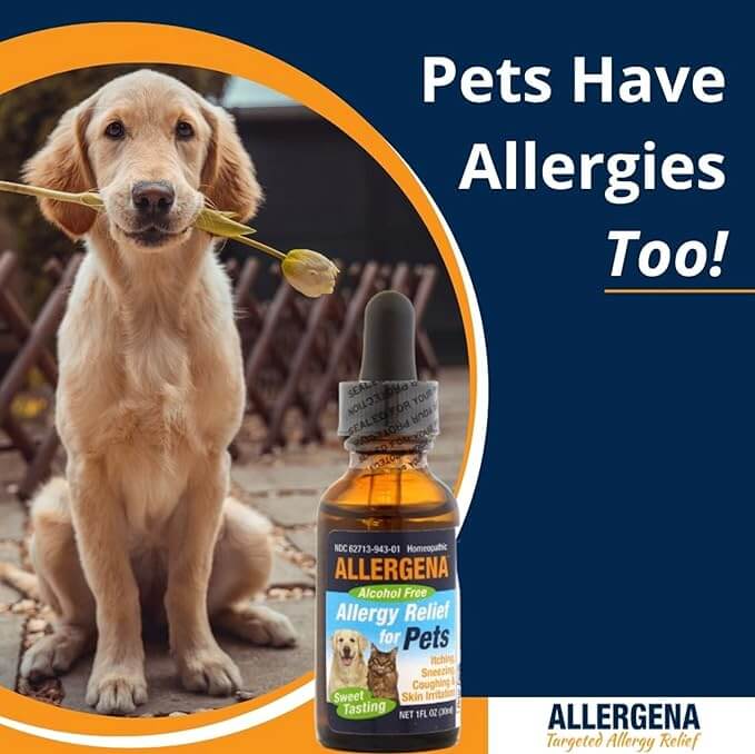 Allergena Allergy Relief For Pets