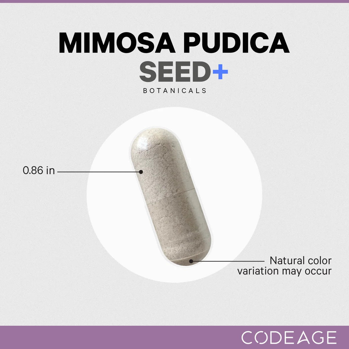 Codeage Mimosa Pudica Seed Capsules 2