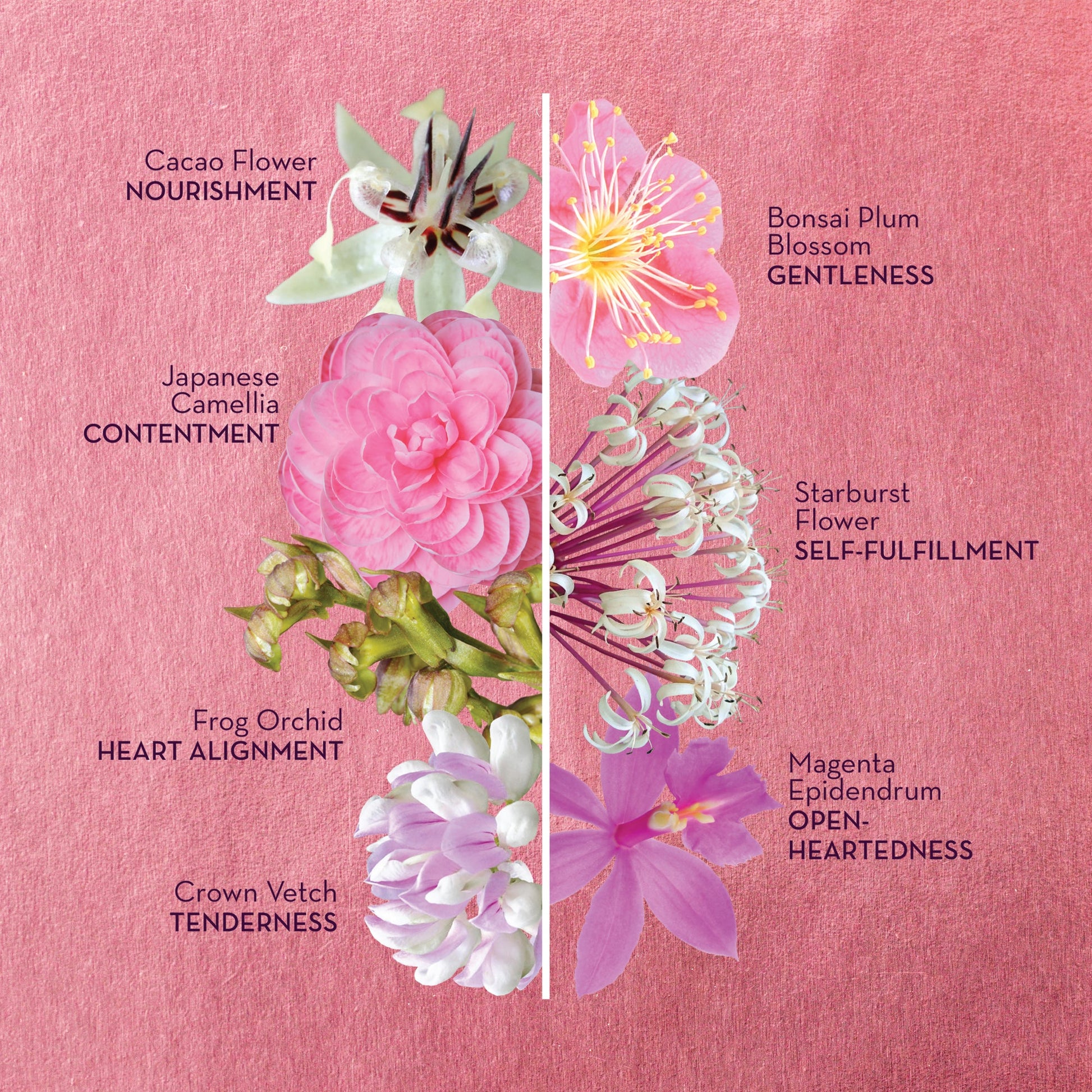 LotusWei Divine Within Flower Elixir 2