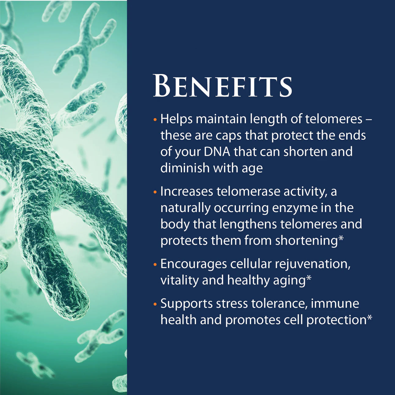 Enzyme Science Telomere Pro Capsules 2