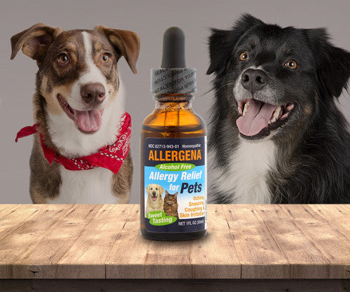 Allergena Allergy Relief For Pets