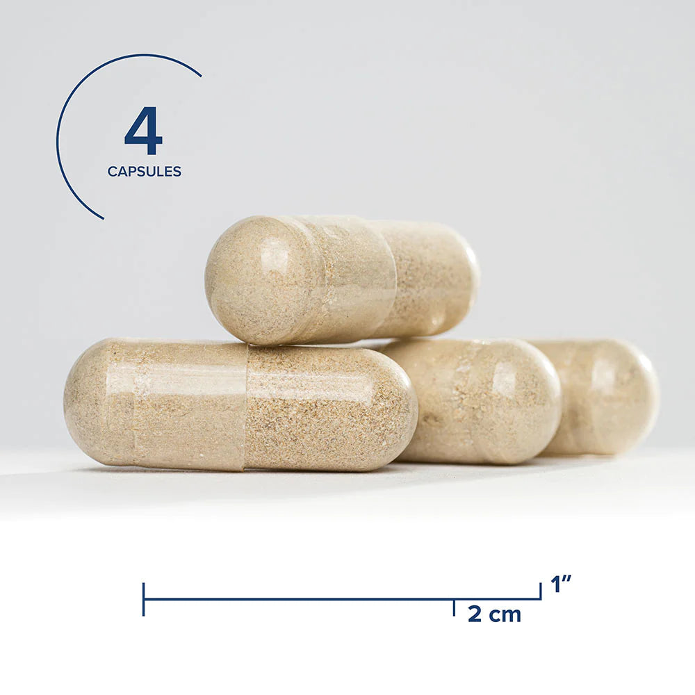 Seeking Health Gallbladder Nutrients Capsules 2