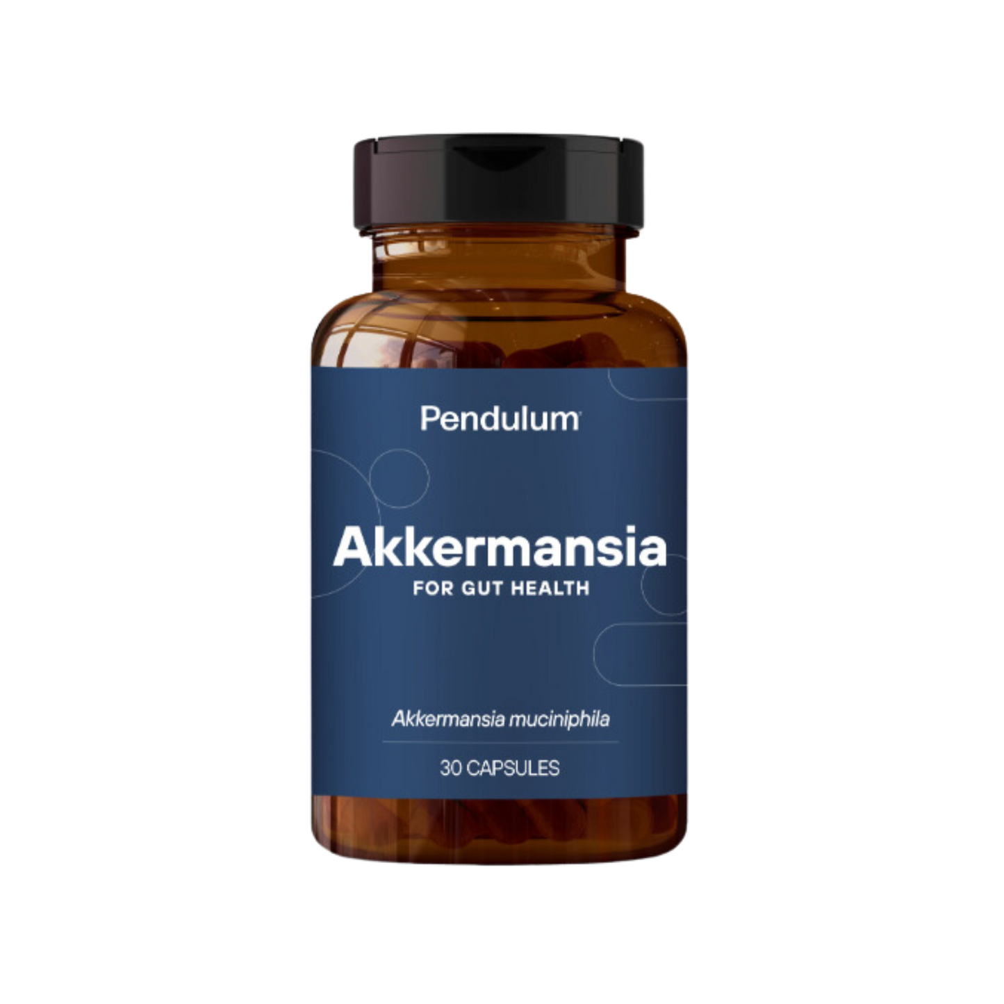 Pendulum Akkermansia Capsules 1