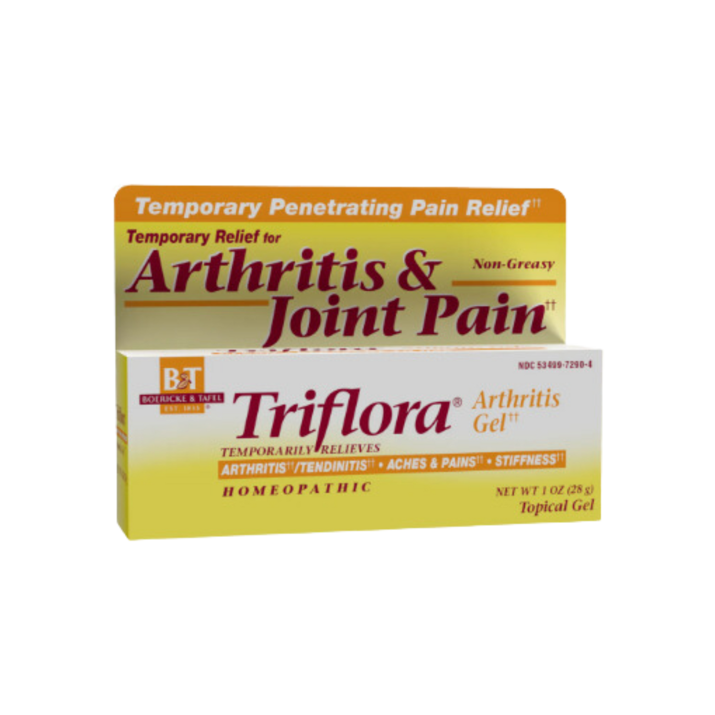 Boerickle & Tafel Triflora Arthritis And Joint Pain Gel 1