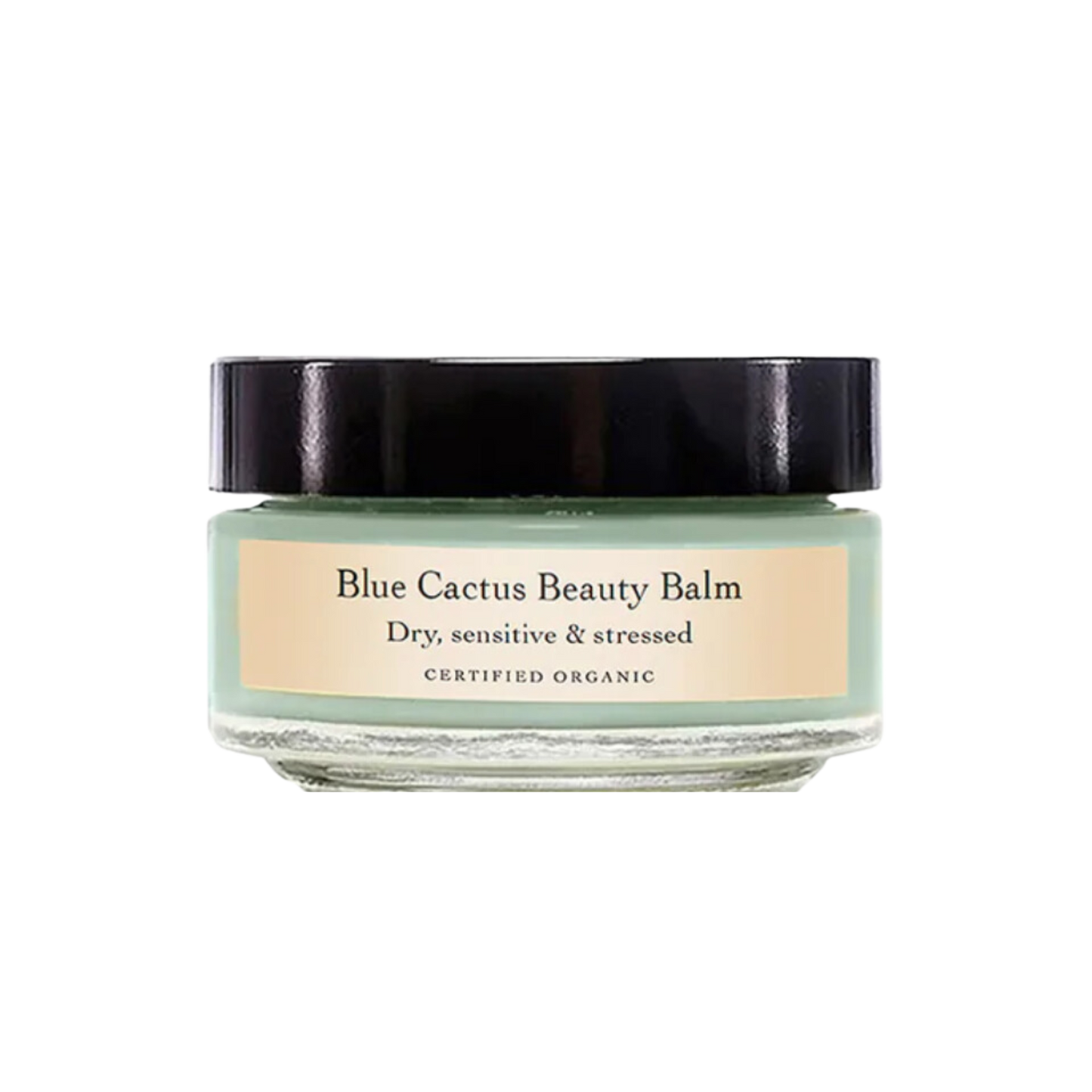 Evanhealy Blue Cactus Beauty Balm 1