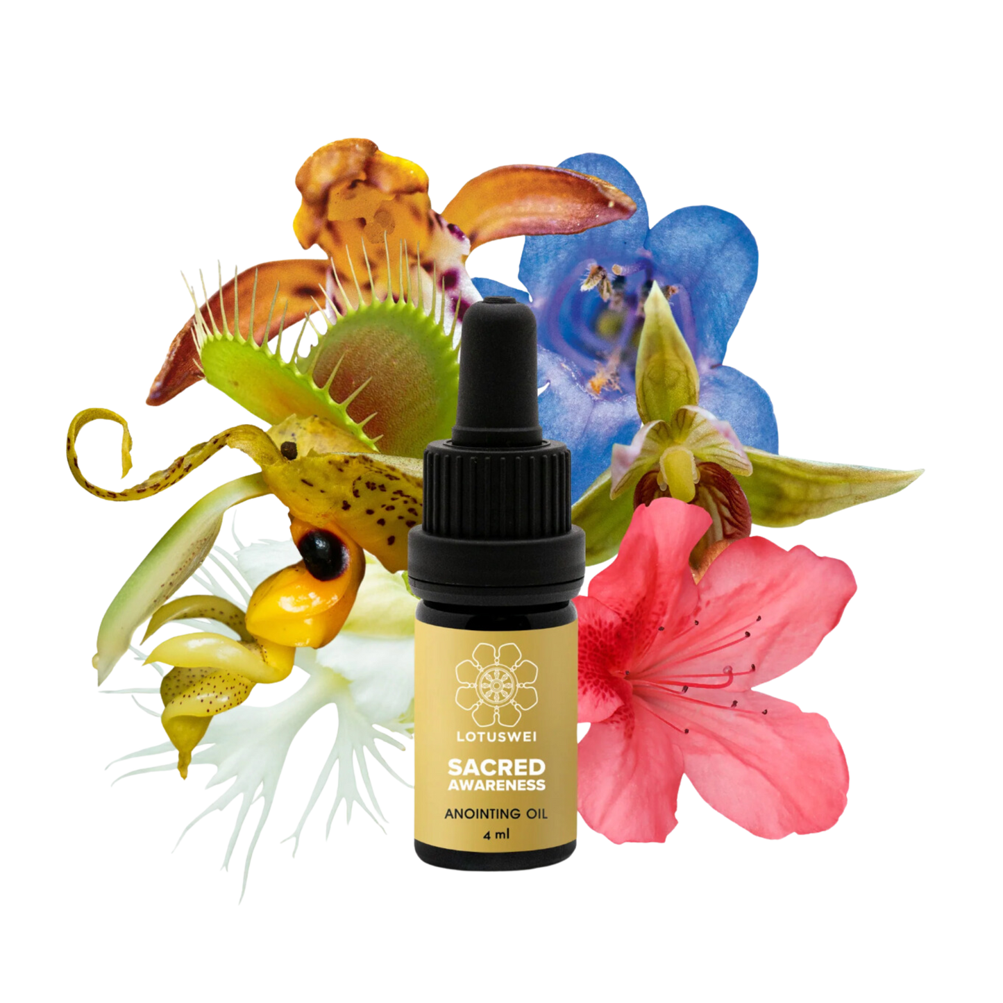 LotusWei Sacred Awareness Anointing Oil 1