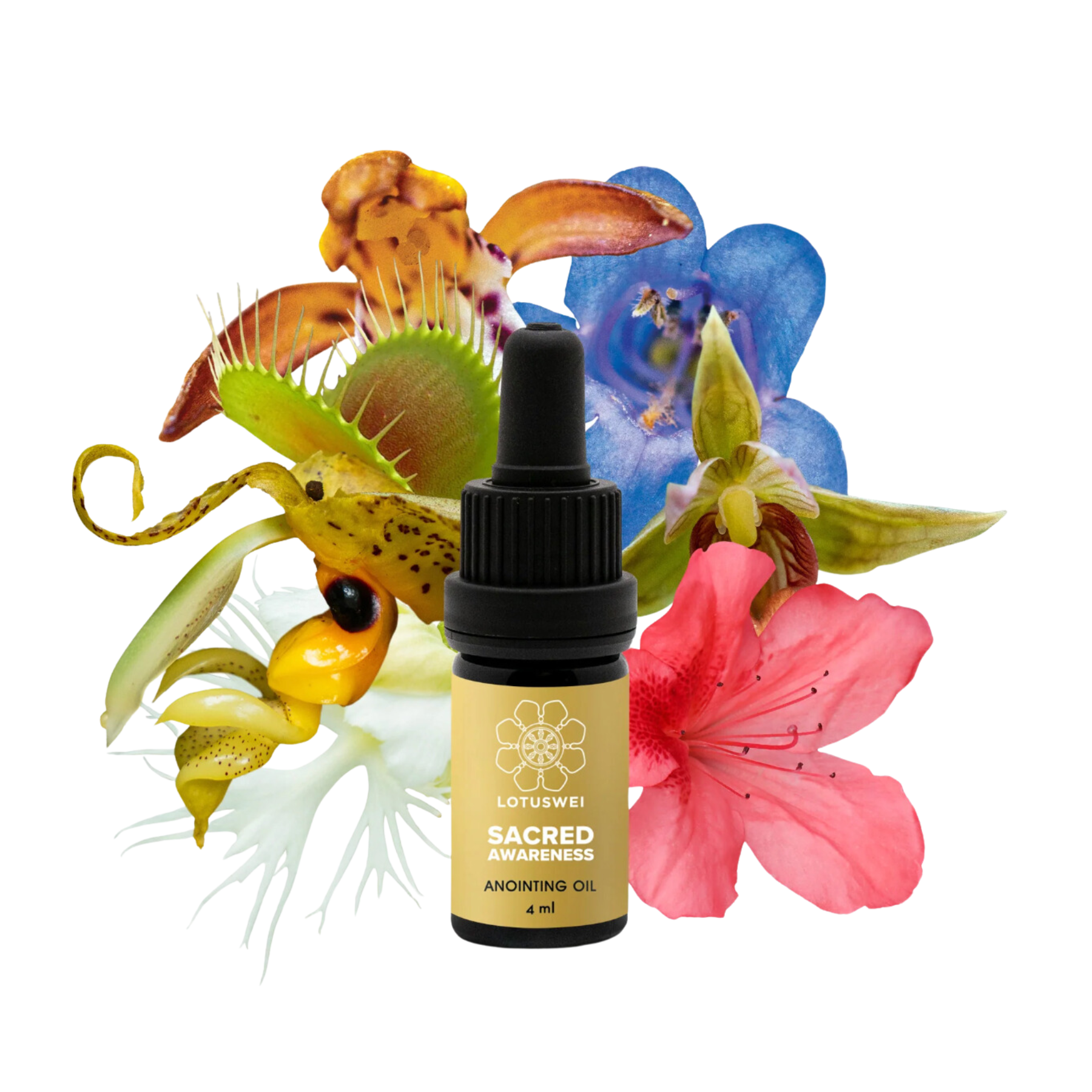 LotusWei Sacred Awareness Anointing Oil 1