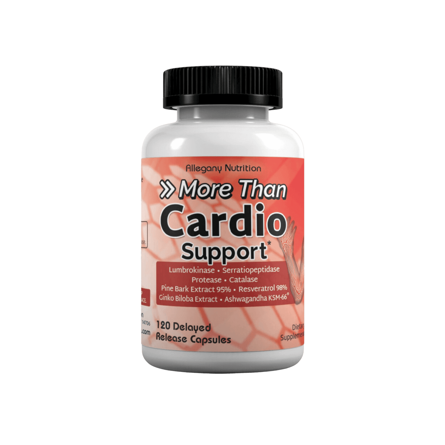 More Than Cardio Support