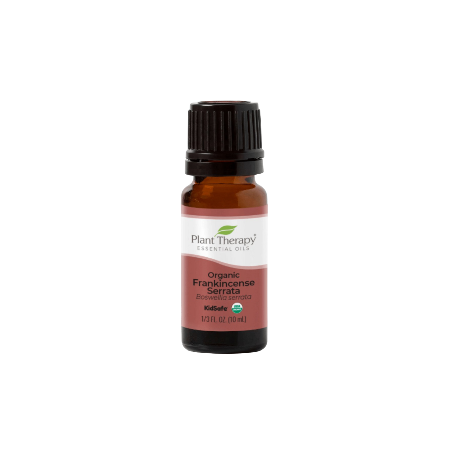 Plant Therapy Organic Frankincense Serrata Essential Oil 1
