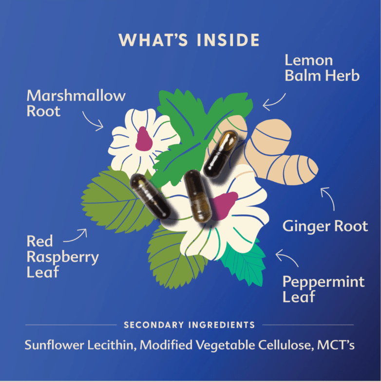 Motherlove Morning Sickness Blend 2