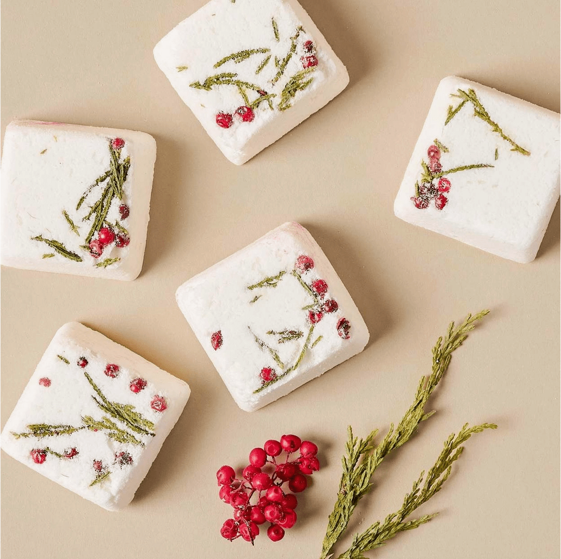 Cleanse Gourmet Fresh Shower Steamers 6