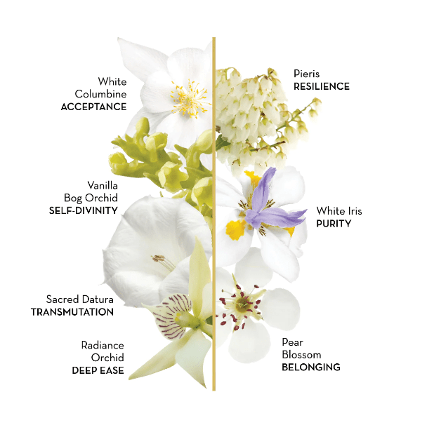 LotusWei Sacred Heart Flower Elixir 3