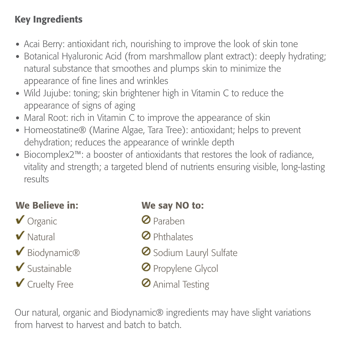 Eminence Firm Skin Acai Booster Serum 2