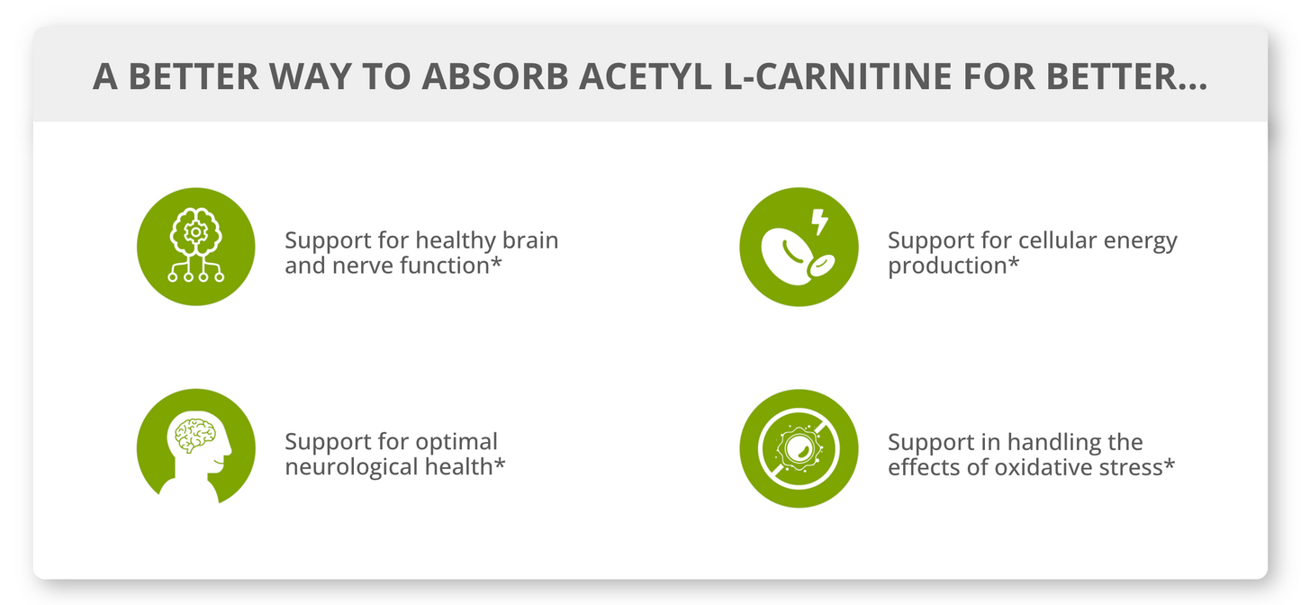 LivOn Lypo-Spheric Acetyl L-Carnitine Liquid Packets 3