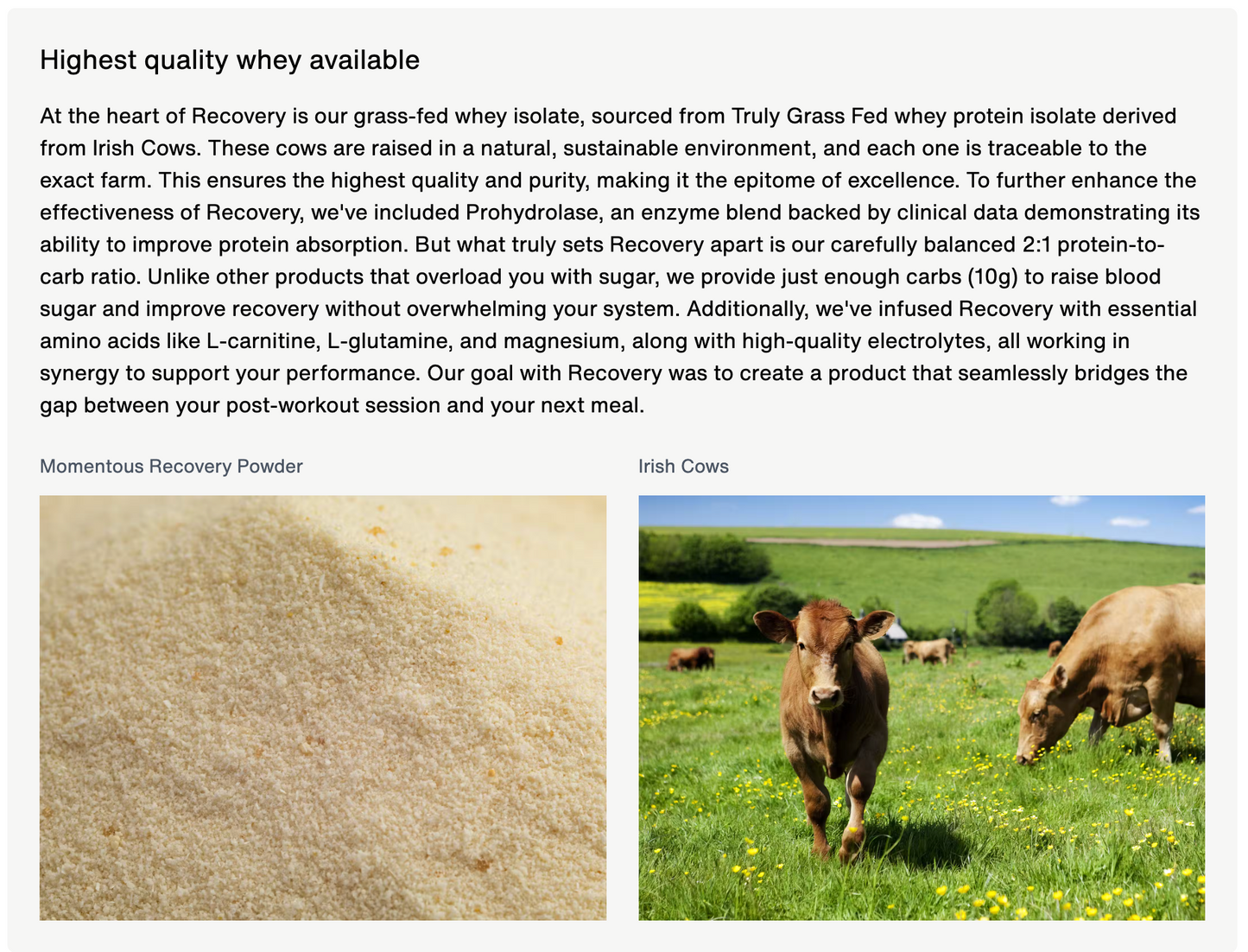 Momentous Recovery Protein Powder 4