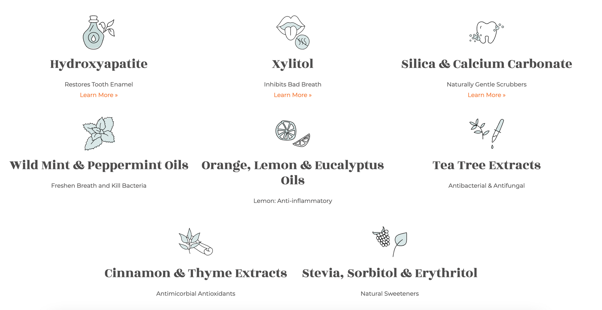 RiseWell Mineral Toothpaste 5