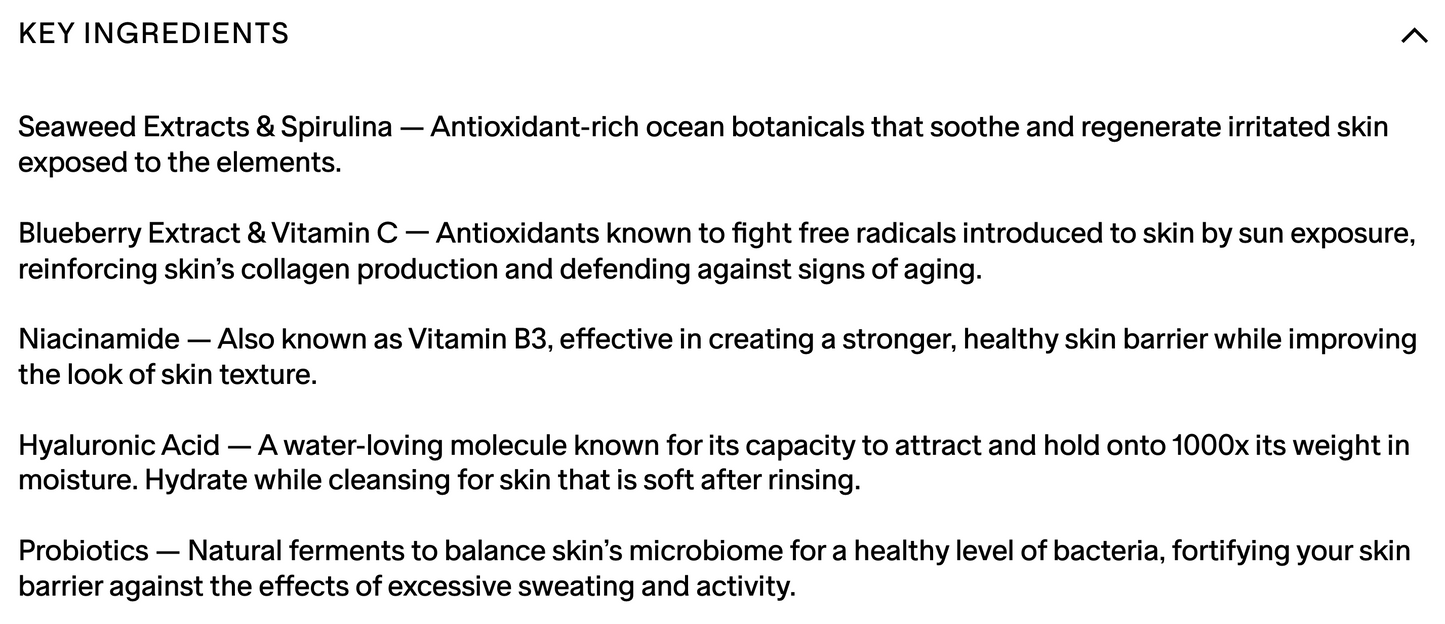 Salt & Stone Body Wash 4