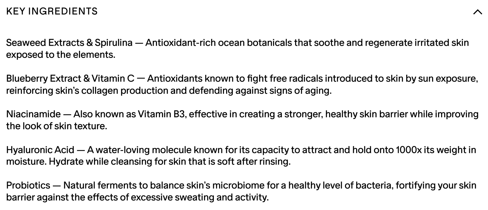 Salt & Stone Body Wash 4