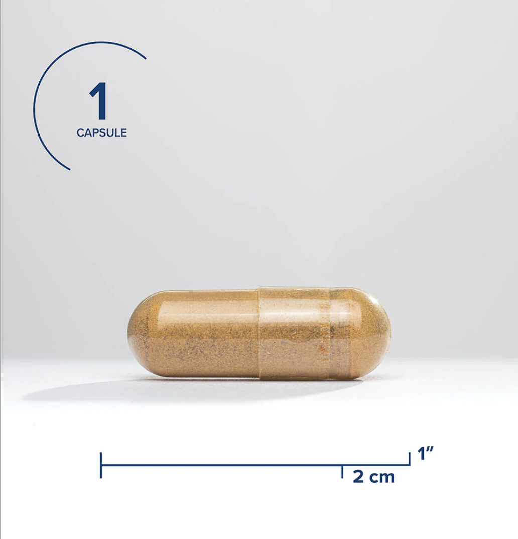 ASHWAGANDHA CAPSULES 2