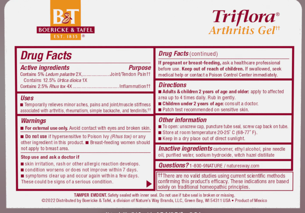 Boerickle & Tafel Triflora Arthritis And Joint Pain Gel 2