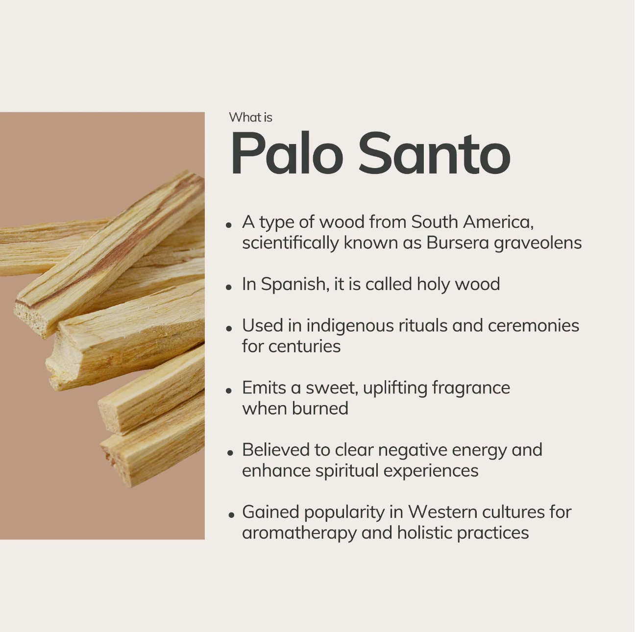 Cedar and Myrrh Palo Santo Incense Stick 3