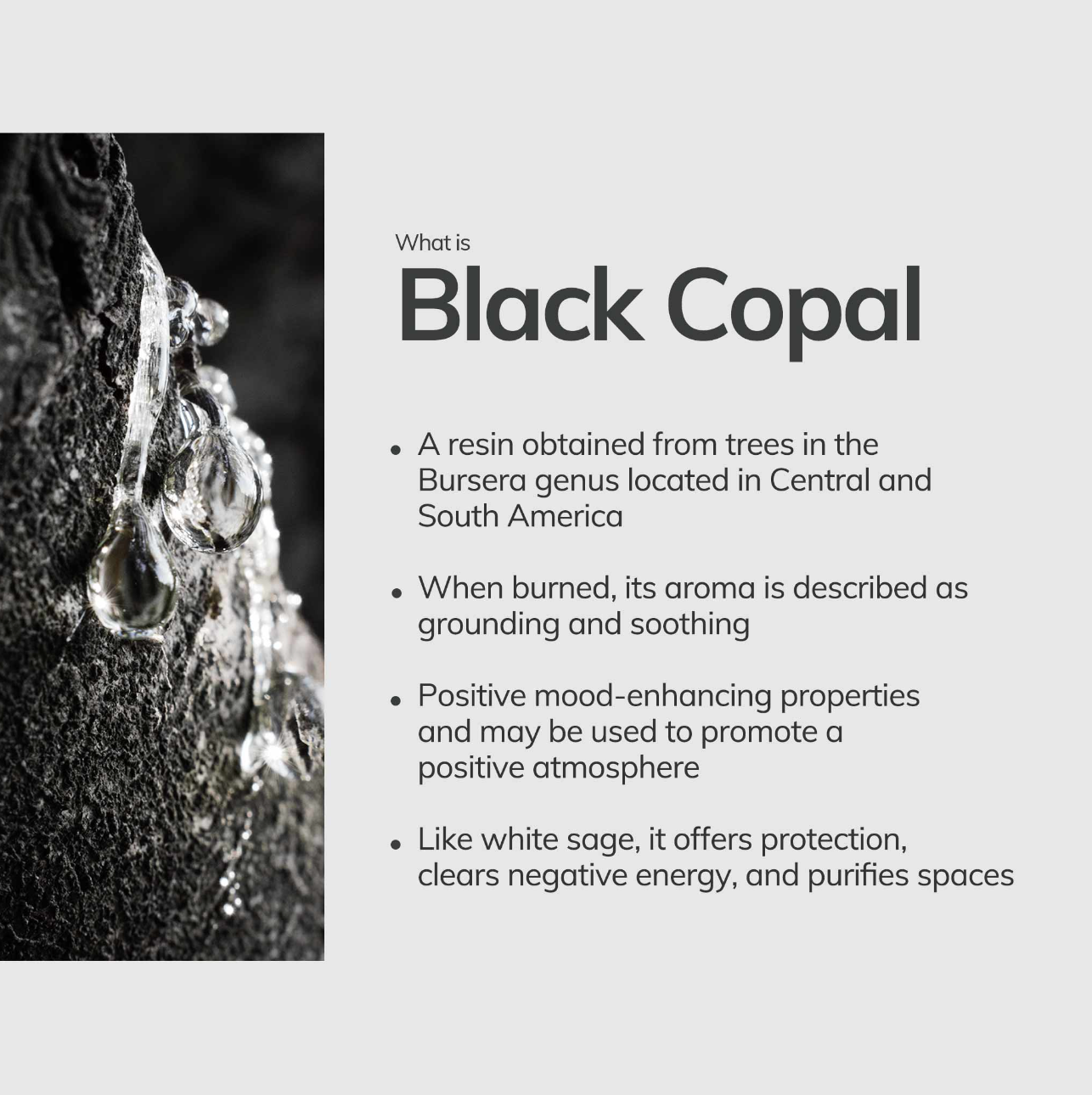 Cedar and Myrrh Black Copal Incense Sticks 4