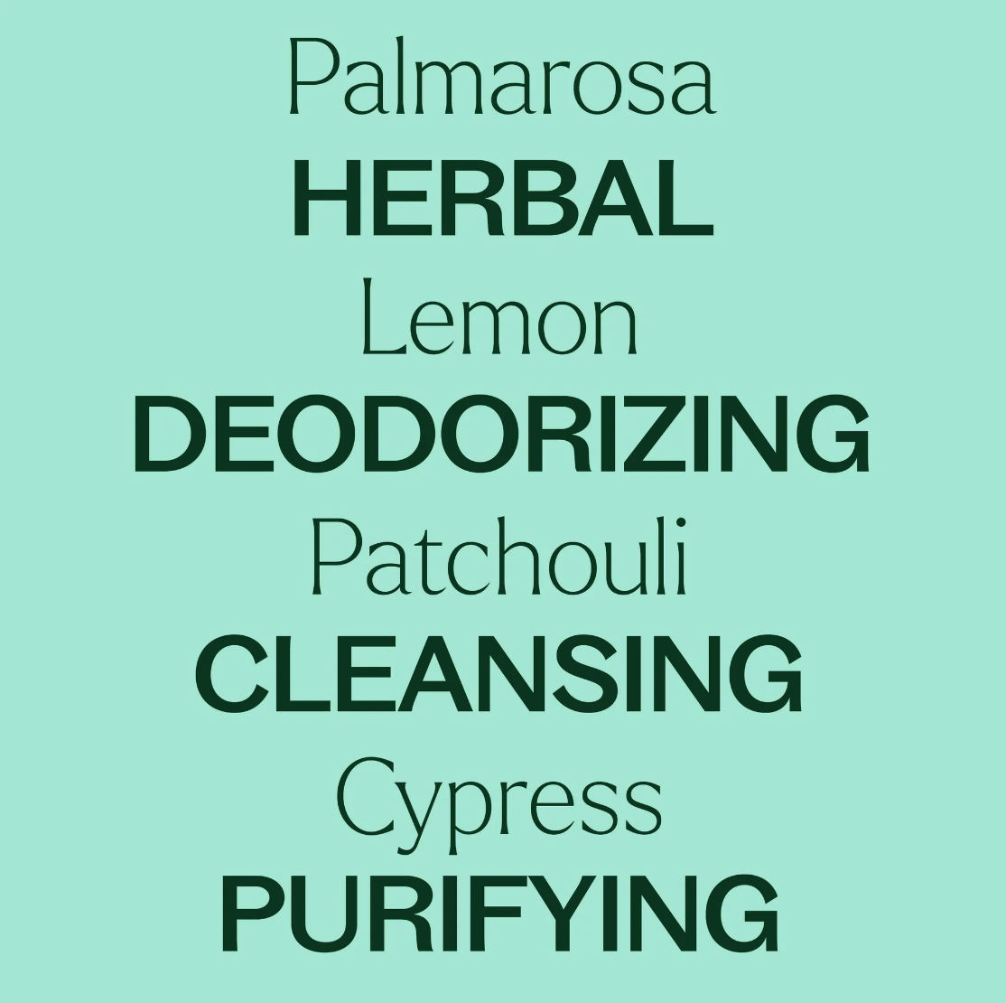 Plant Therapy Deodorizing Essential Oil Blend 5