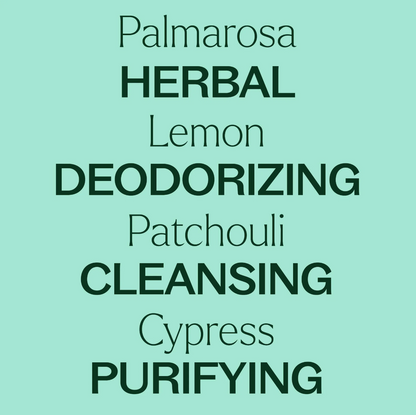 Plant Therapy Deodorizing Essential Oil Blend