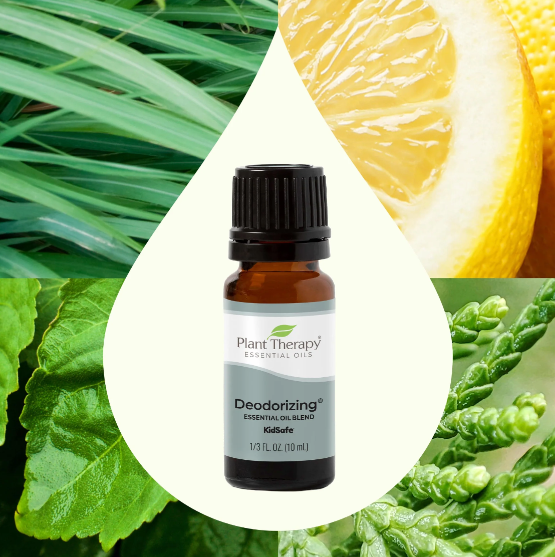Plant Therapy Deodorizing Essential Oil Blend 4