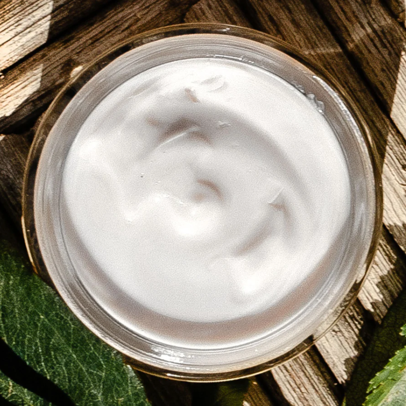 Evanhealy Blue Chamomile Day Moisturizer 5