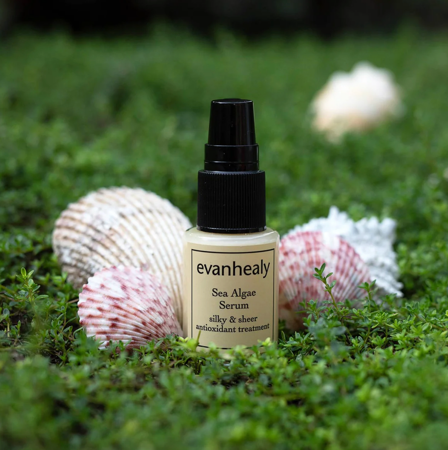 Evanhealy Sea Algae Serum 3