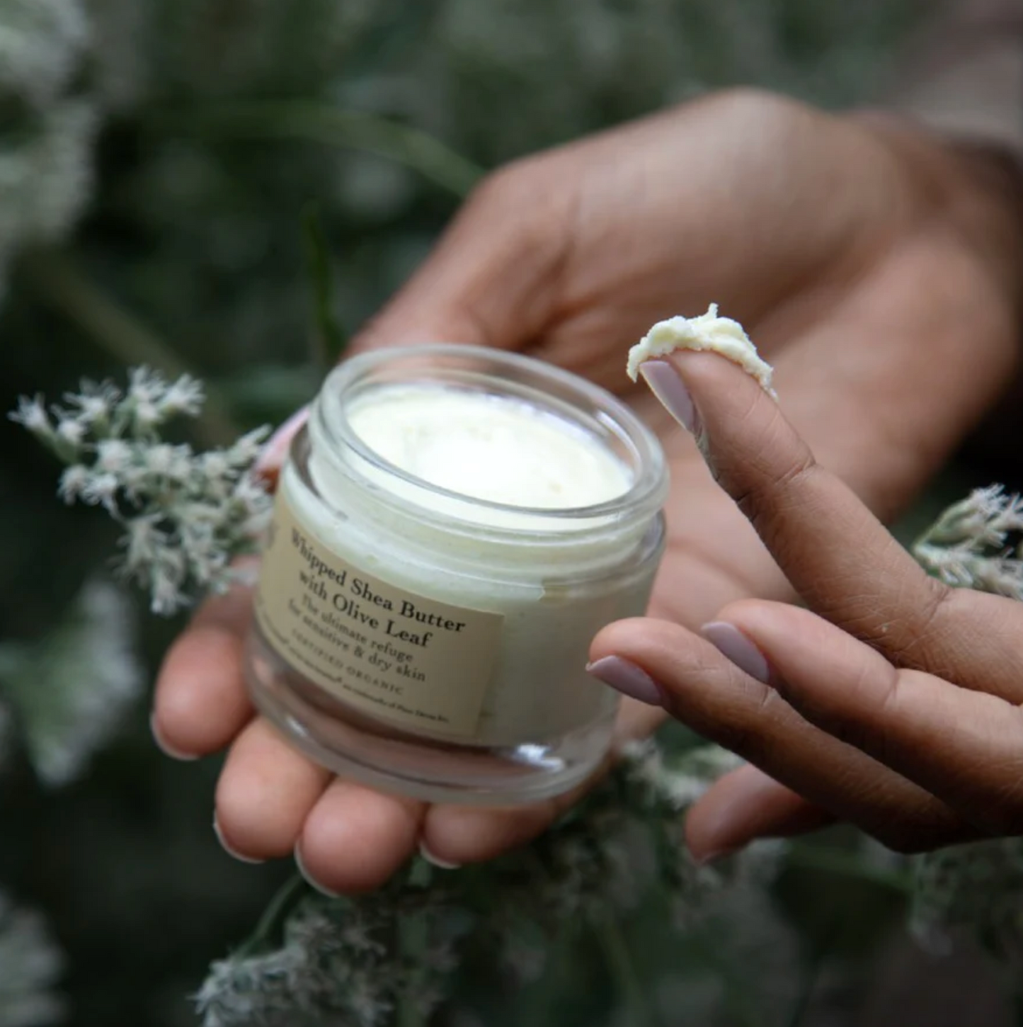Evanhealy Whipped SheaButter With Olive Leaf 5