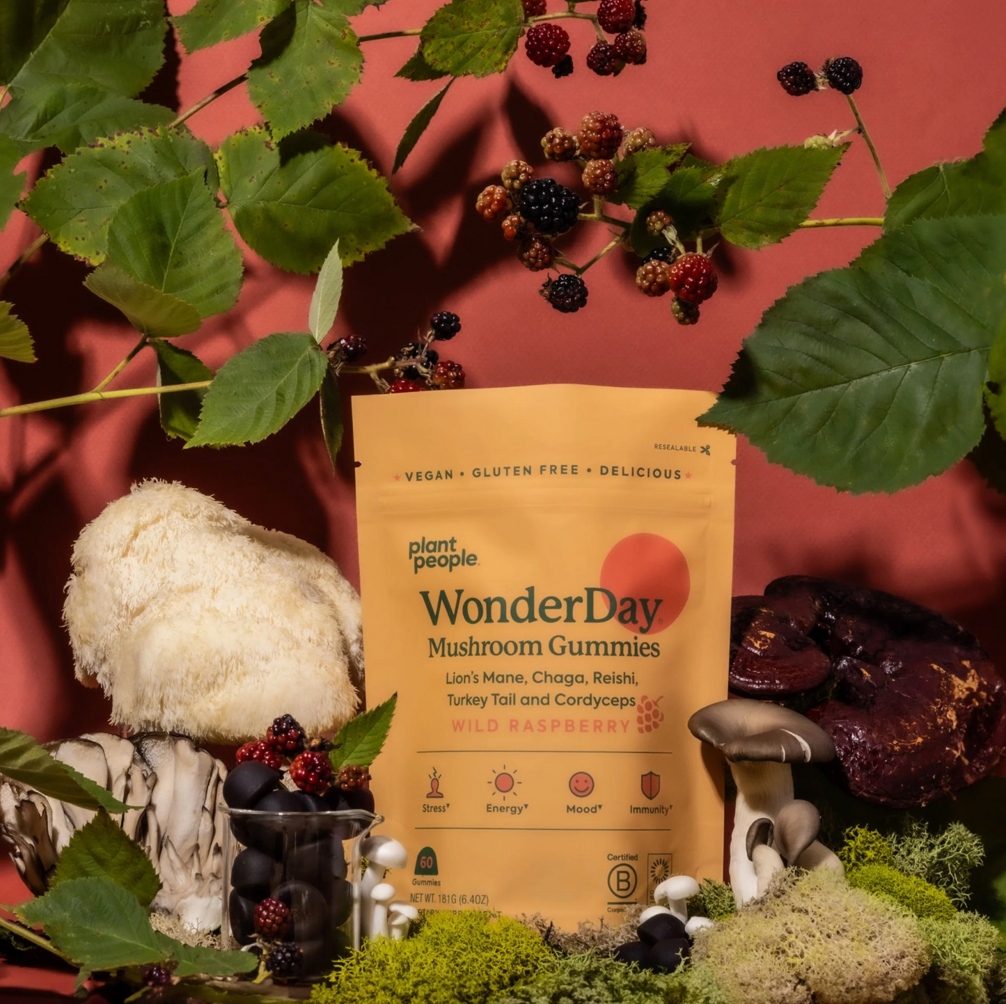 PlantPeople WonderDay Mushroom Gummies