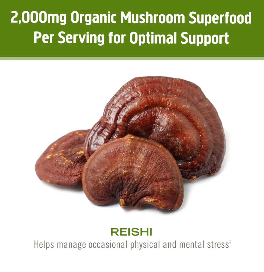 Om Mushroom Reishi Powder 2