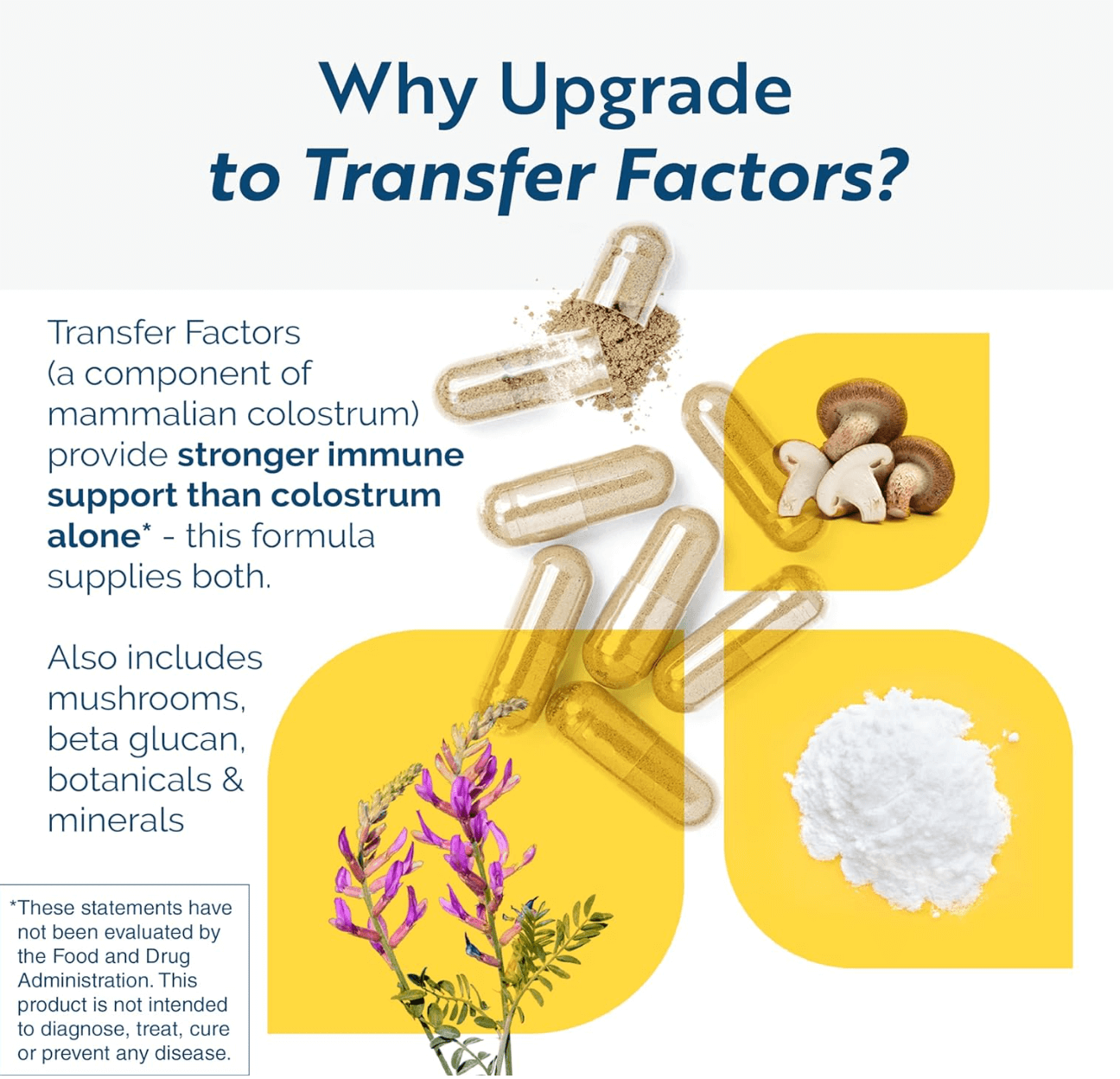 Researched Nutritionals Transfer Factor Capsules