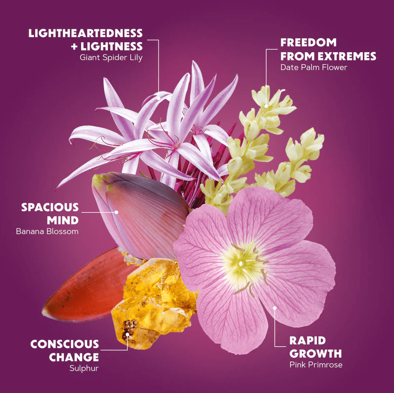 LotusWei Game Changer Anointing Oil