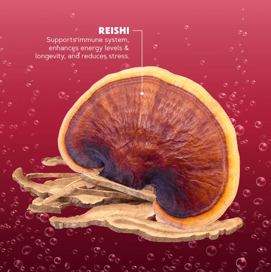 LotusWei Cherry Cola Soda Concentrate