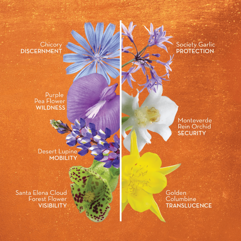 LotusWei Awakened Perception Flower Elixir 3