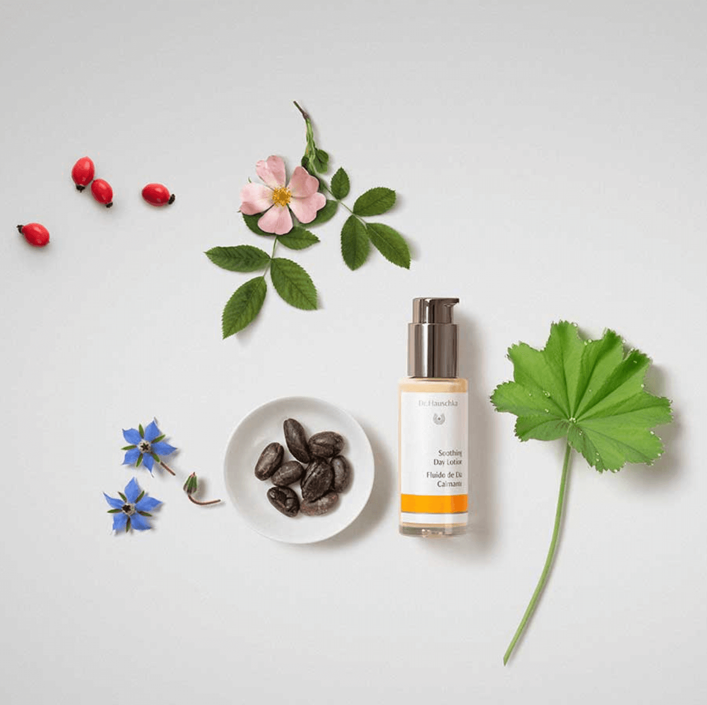 Dr. Hauschka Soothing Day Lotion 2