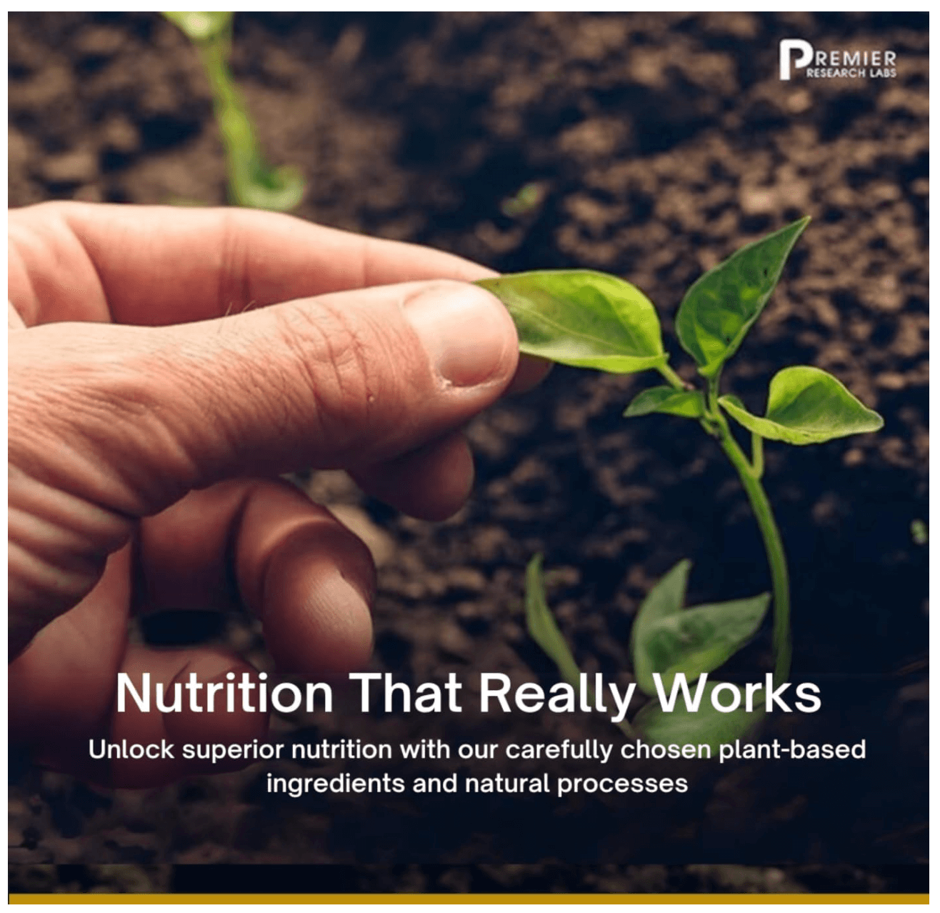 Premier Research Labs EPA/DHA Marine Softgels