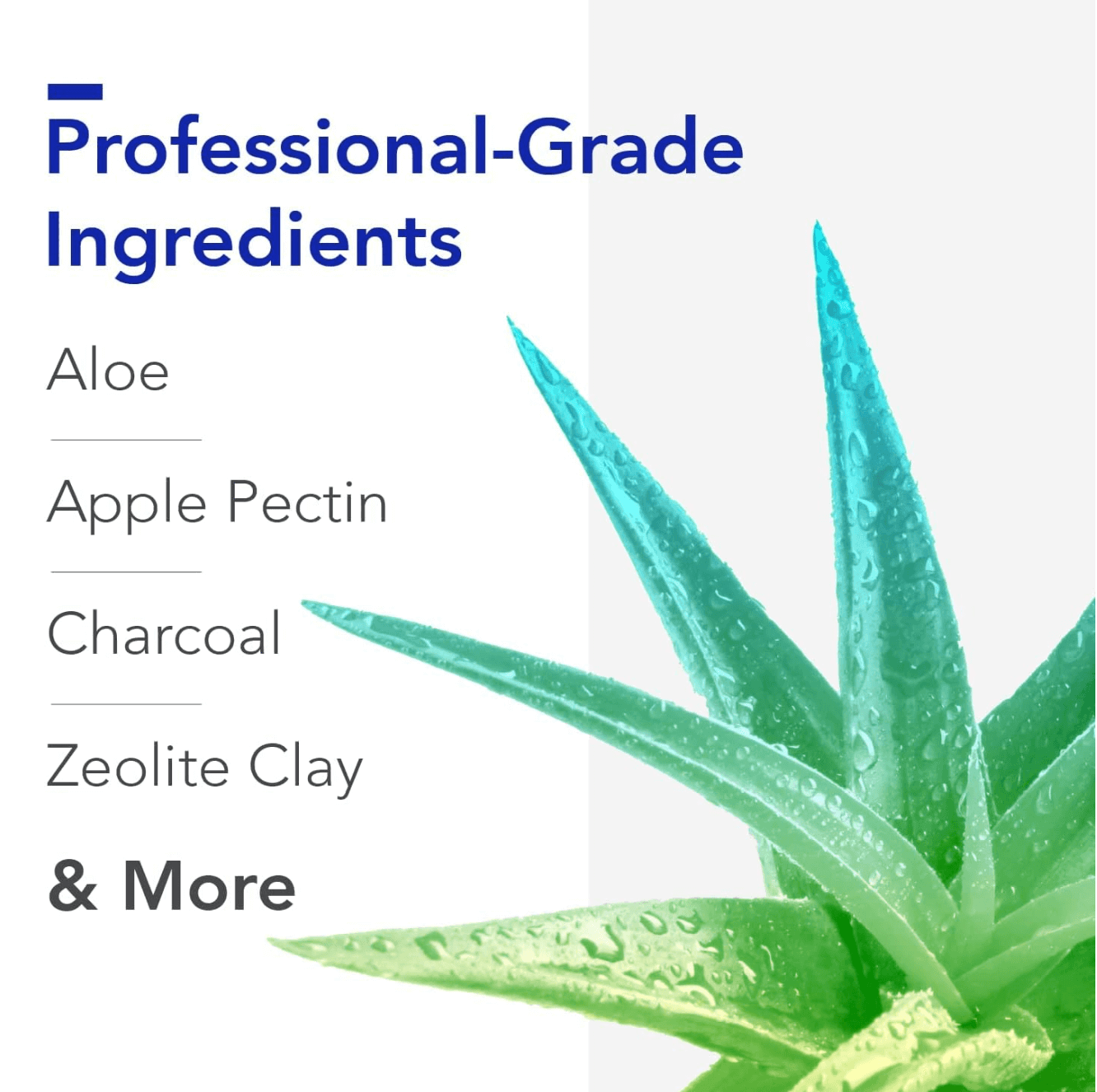 Biocidin Botanicals GI Detox+ Capsules