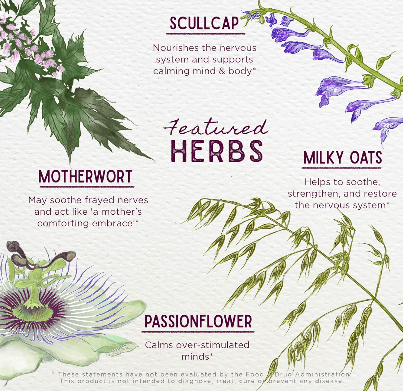 WishGarden Herbs Emotional Ally Liquid